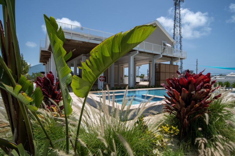 Birds of Paradise and tropical plants around the pool